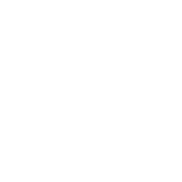 slide-arrow-icon